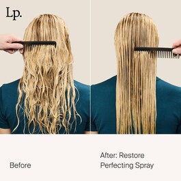 Restore Perfecting Spray - Spray districante idratante