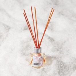 The Future is Yours - Diffusore ambiente all'argan