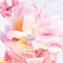 Miss Dior Blooming Bouquet - Eau de toilette – Note fresche e delicate