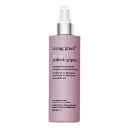 Restore Perfecting Spray - Spray districante idratante