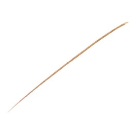Phyto-Sourcils Perfect