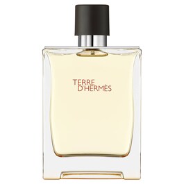Terre d'Hermès - Eau de toilette