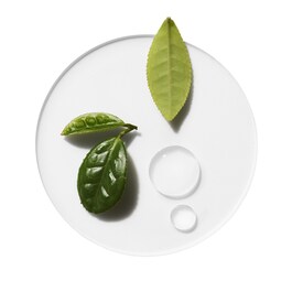 Moisture Surge Overnight Mask - Maschera nutriente e idratante da notte