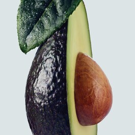 Botanical Repair™ Masque Light - Trattamento intensivo