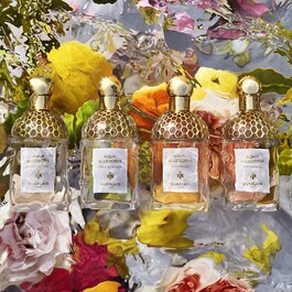 Aqua Allegoria Pamplelune - Eau de Toilette