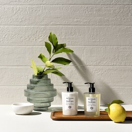 COLONIA SAPONE MANI E CORPO