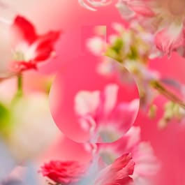 CHANCE EAU TENDRE - Eau De Parfum Vaporizzatore