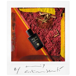 Oud & Spice