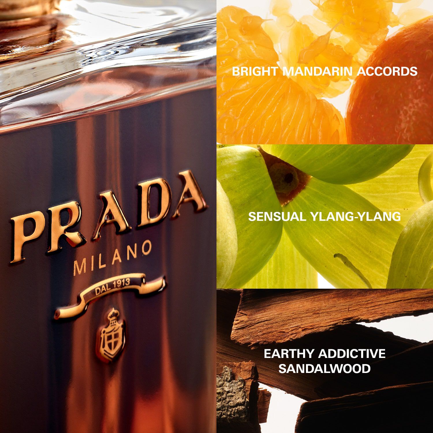 La femme prada sephora best sale