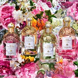 Aqua Allegoria Orange Soleia - Eau de Toilette 