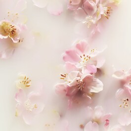 The Ritual of Sakura - Cofanetto Regalo Large