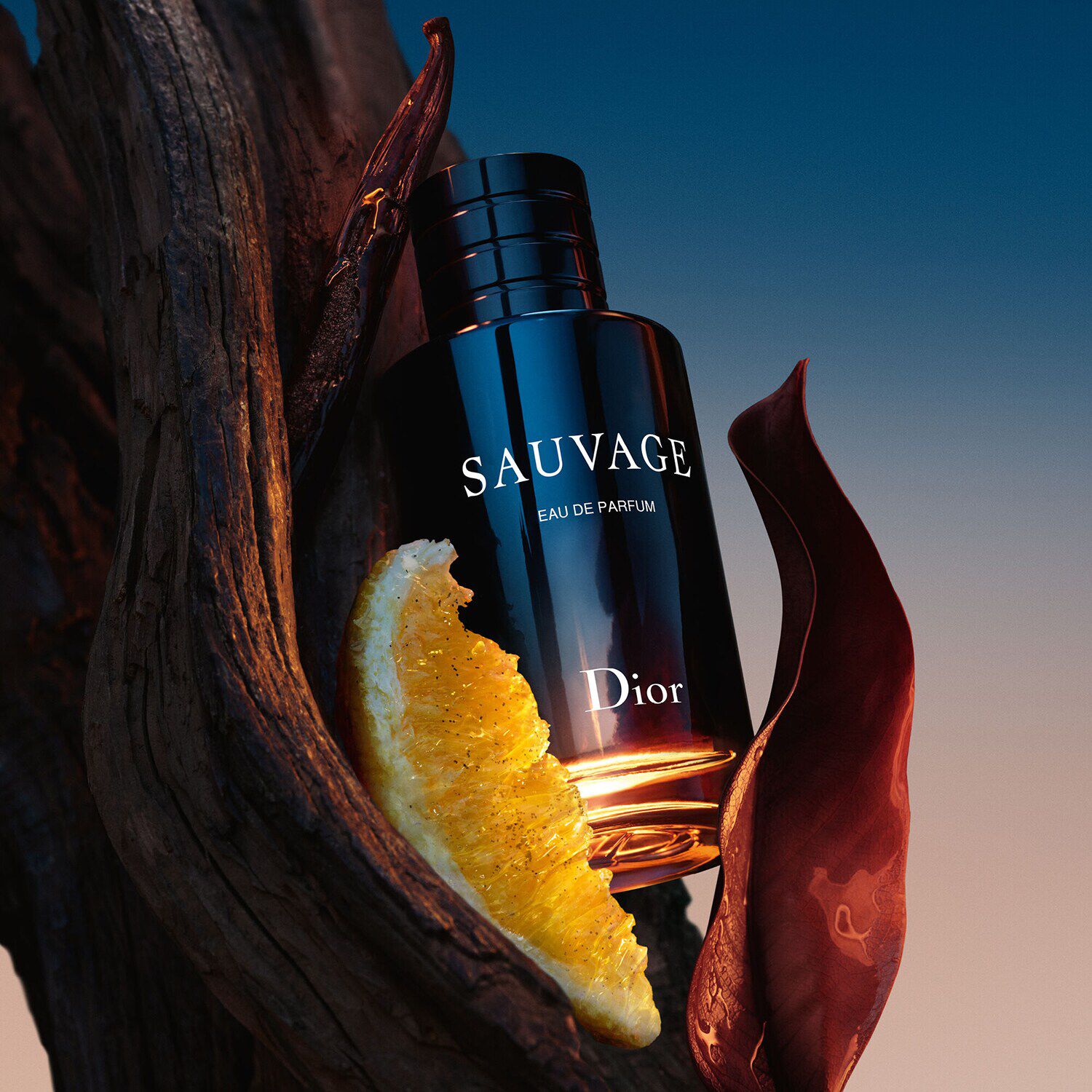 Cd sauvage parfum shop