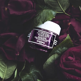 Baume-en-Eau à la Rose Noire - Ridensificante illuminante