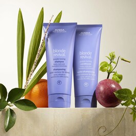Blonde Revival™ Purple Toning Conditioner - Balsamo per capelli