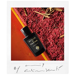 Oud & Spice