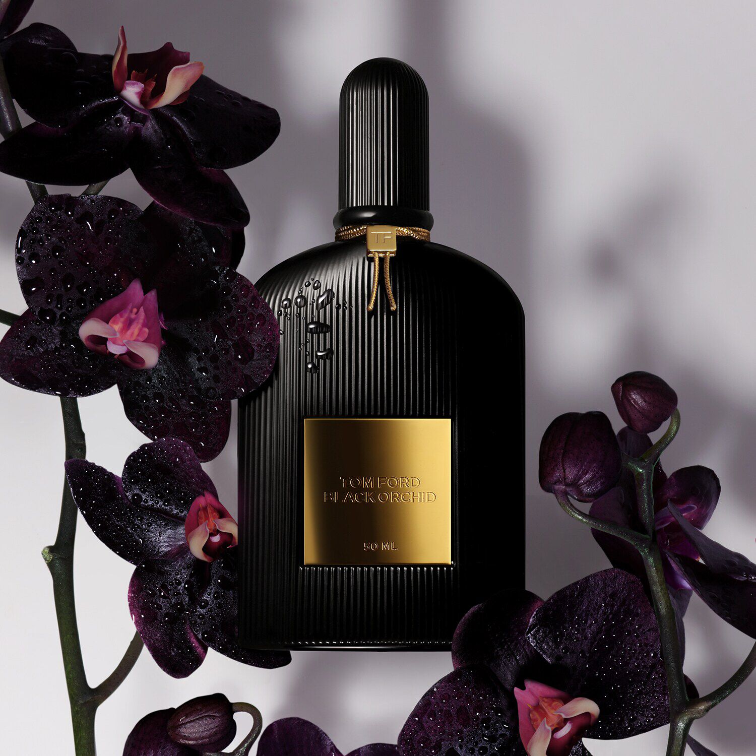Profumo tom ford orchidea nera prezzo hotsell