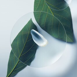 Botanical Repair™ Strengthening Leave-in - Trattamento capelli