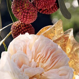 Chloé - Eau de Parfum