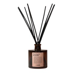 Eucalipto e menta - Diffusore per la casa, 100BON