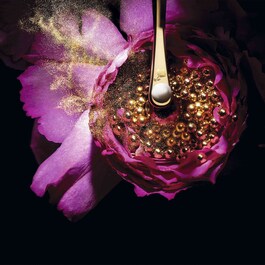 Absolue L'Extrait Elisir - Crema Ricaricabile