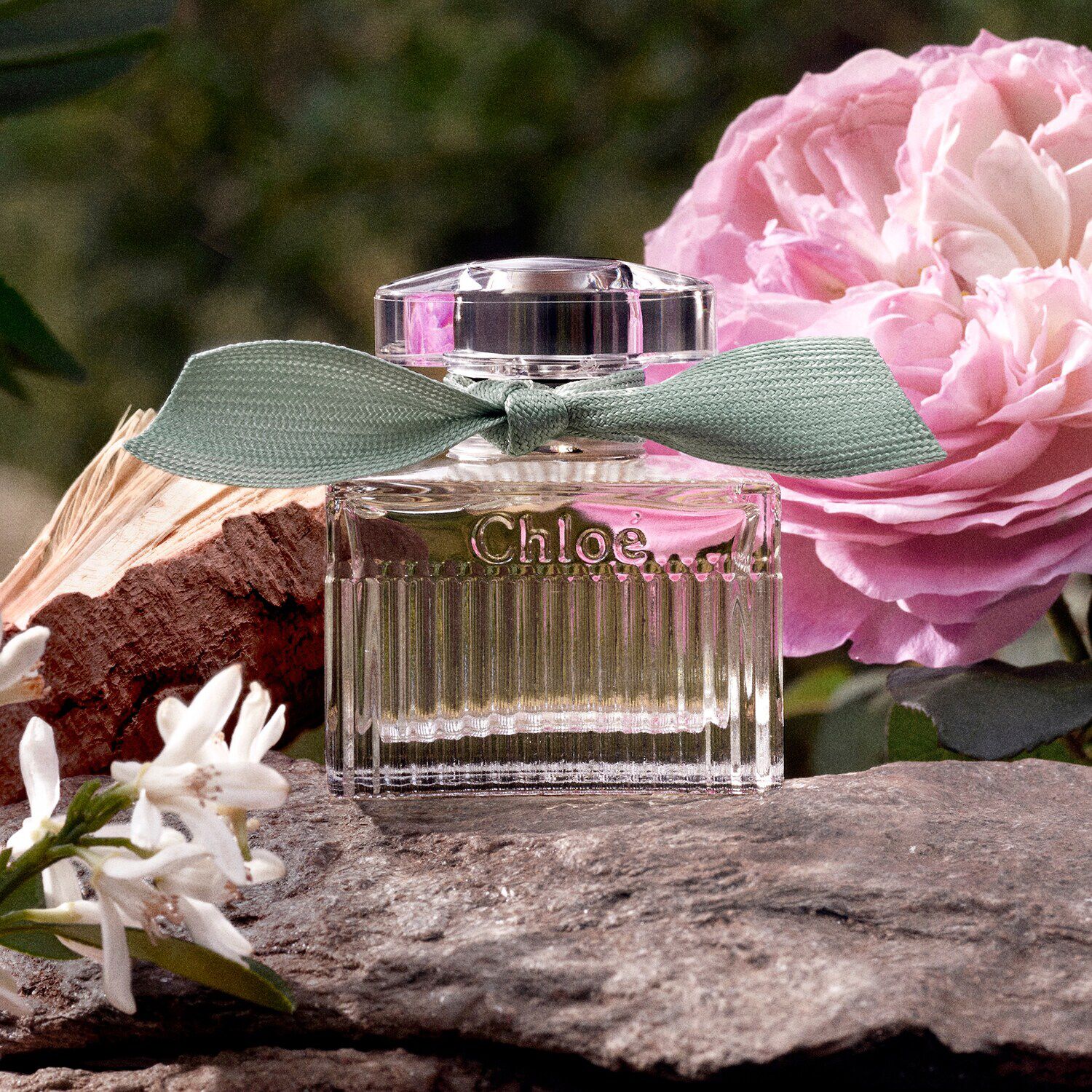 Chloé Rose Naturelle - Eau de Parfum NS6703