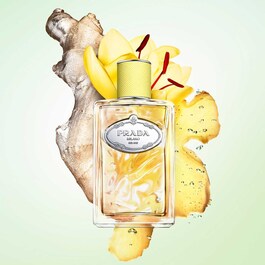 Infusion de Gingembre - Eau de Parfum
