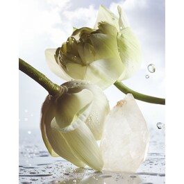 BVLGARI MAN RAIN ESSENCE - Eau de parfum