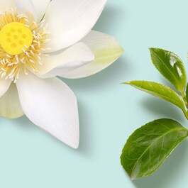 The Ritual of Karma - Body Scrub