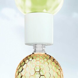 Aqua Allegoria Forte Nerolia Vetiver - Eau de Parfum