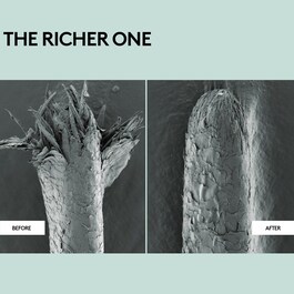 The Richer One - Balsamo riparatore idratante ad azione intensiva