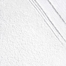 Scalp Revival Charcoal + Biotin Dry Shampoo - Shampoo Secco