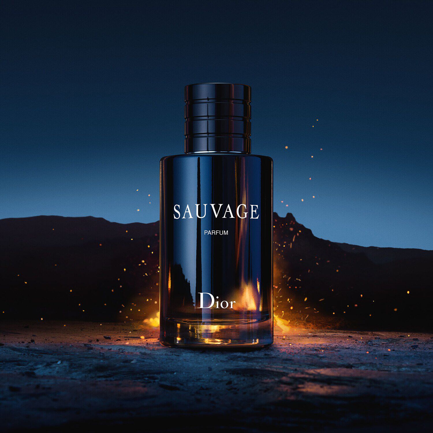 Sauvage 2025 parfum uomo