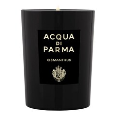 Candela Osmanthus Signatures of the Sun - Candela Profumata, ACQUA DI PARMA