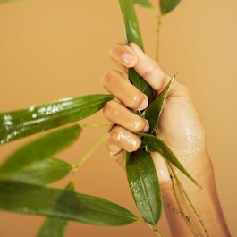 Bamboo Crème Frappée