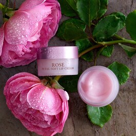 Rose Deep Hydration Lip Cream - Balsamo labbra idratante alla rosa