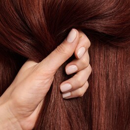 ColorMotion+ - Shampoo protettore del colore per capelli tinti