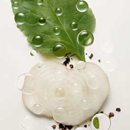 BOTANICAL REPAIR™ Bond-building flash treatment - Trattamento leggero riparatore