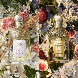 Aqua Allegoria Forte Nerolia Vetiver - Eau de Parfum