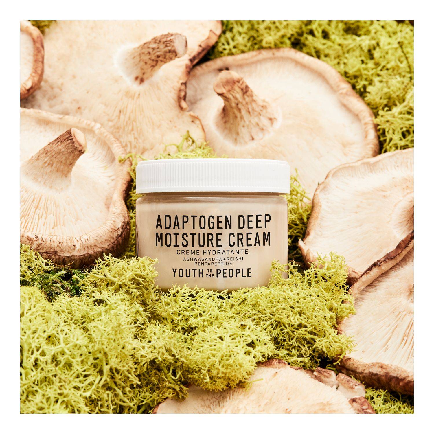 Adaptogen Deep Moisture Cream - Crema Idratante di YOUTH TO THE PEOPLE ...