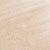 Custard (1,4 ml)